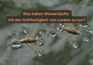 Was haben Wasserläufer mit der Haftfestigkeit von Lacken zu tun